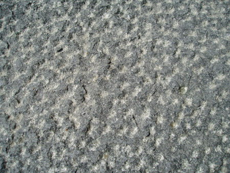 Pineapple surface-Big Sesame