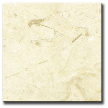 NMJ219