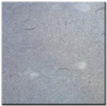 NMJ246