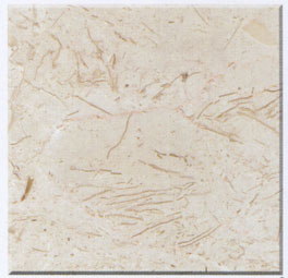 NMJ253